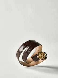 Rouje Ceintures>Ceinture ROSO Chocolat