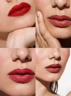 Rouje Les Palettes Lèvres></noscript>La Palette Madame