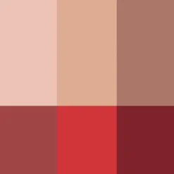 Rouje La Palette Visage></noscript>La Palette Visage Tortoise