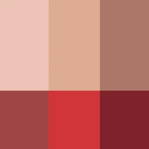 Rouje La Palette Visage>La Palette Visage Tortoise